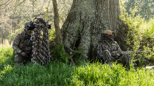 Filming Turkeys and how you set up for them.